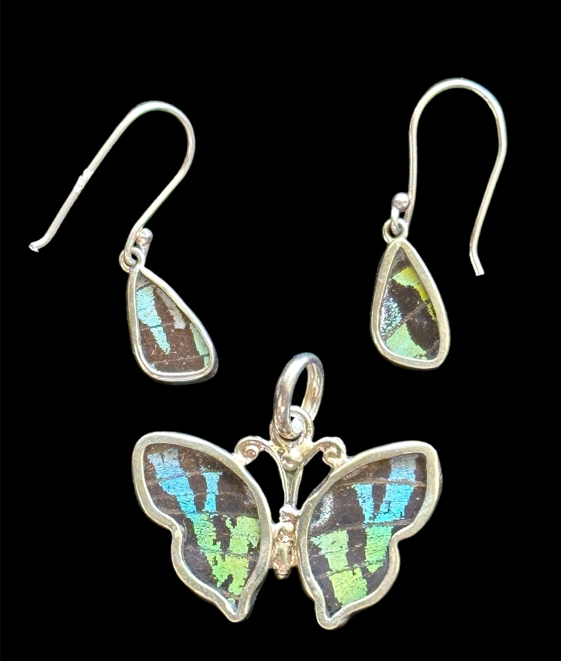 Butterfly wing jewelry, real butterflies, butterfly pendants, butterfly earrings, real butterfly gifts, jewelry with butterfly newest wings