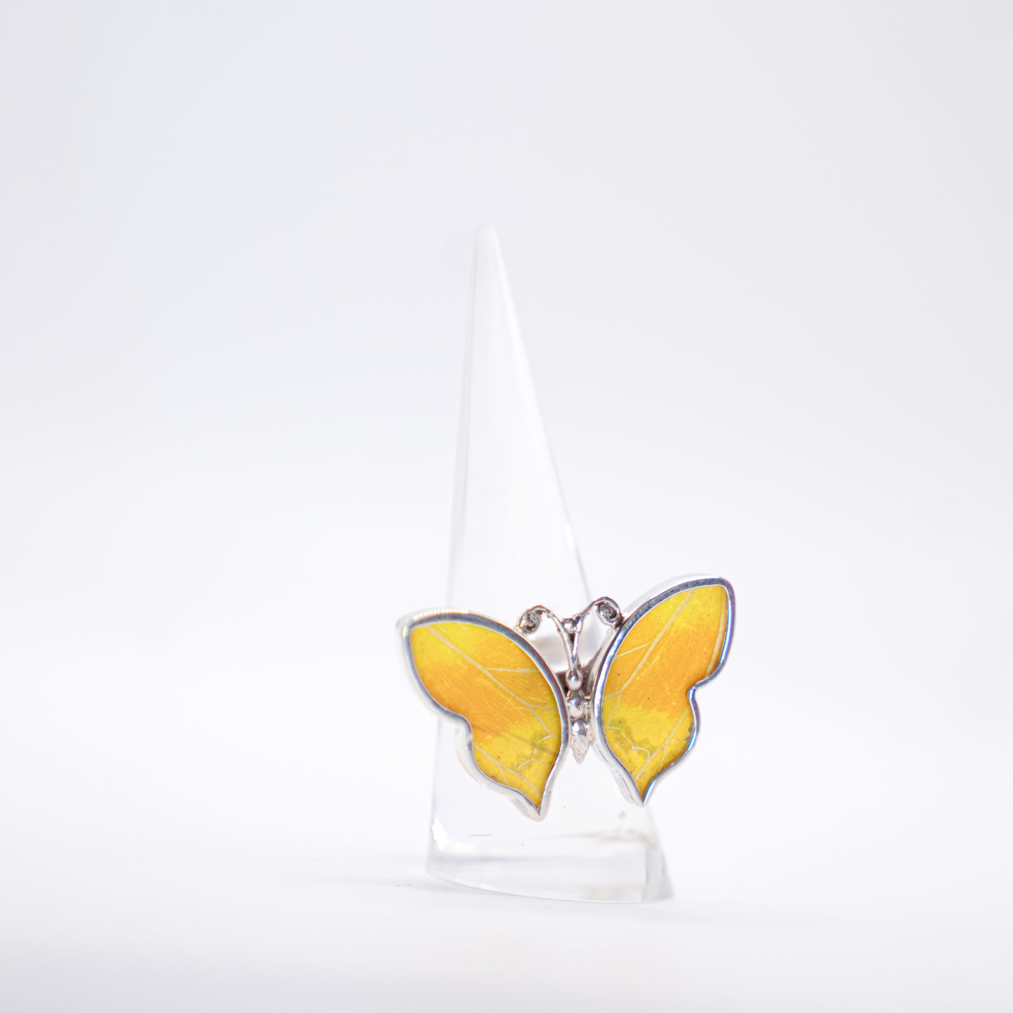 Real Butterfly Wings Ring