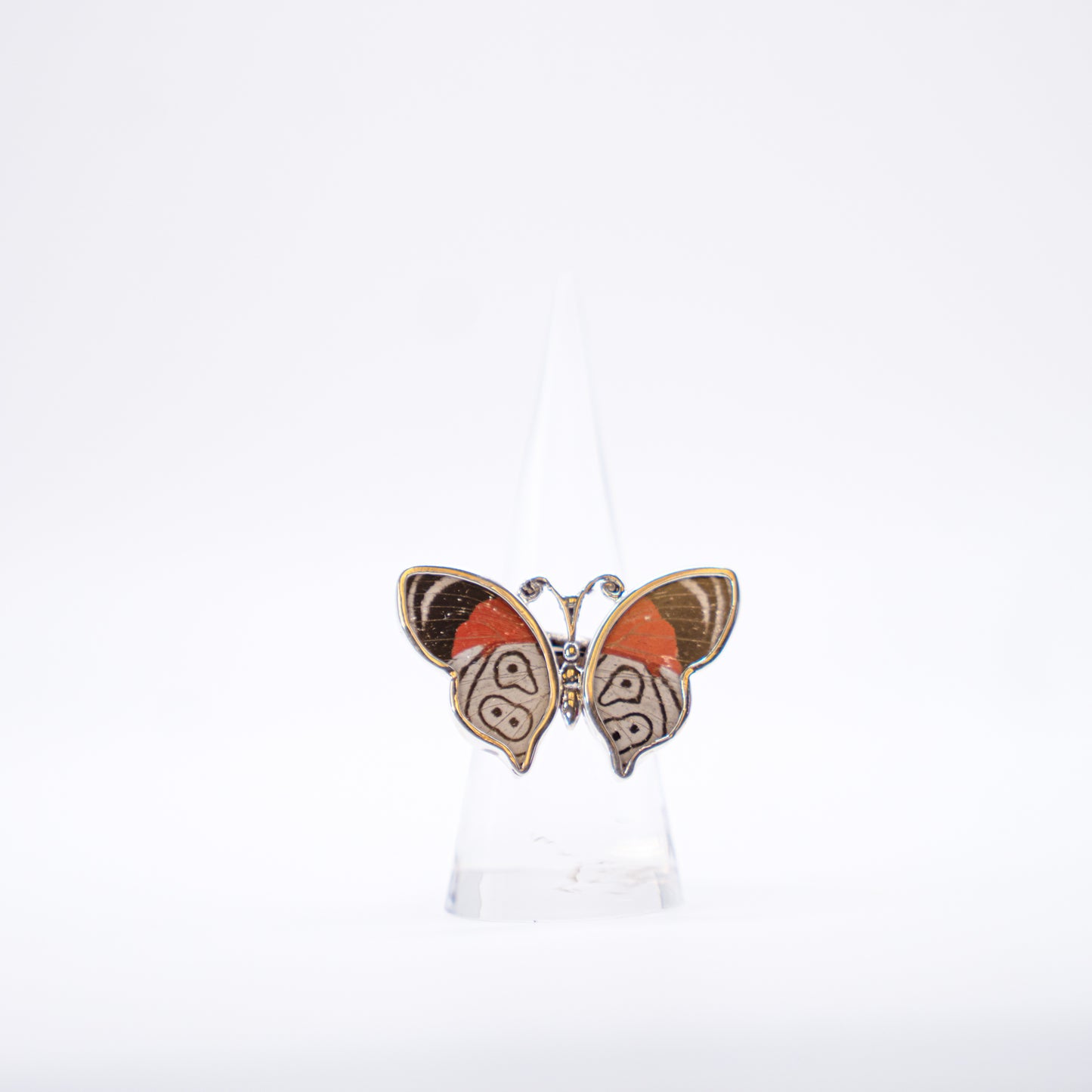 Real Butterfly Wings Ring