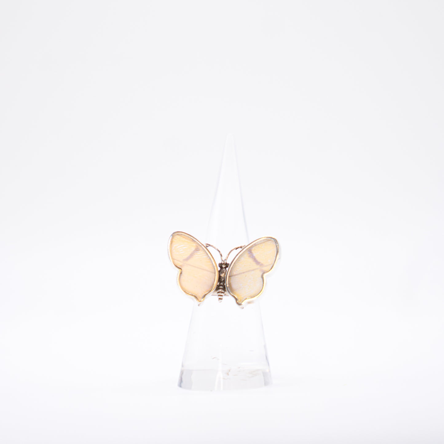 Real Butterfly Wings Ring