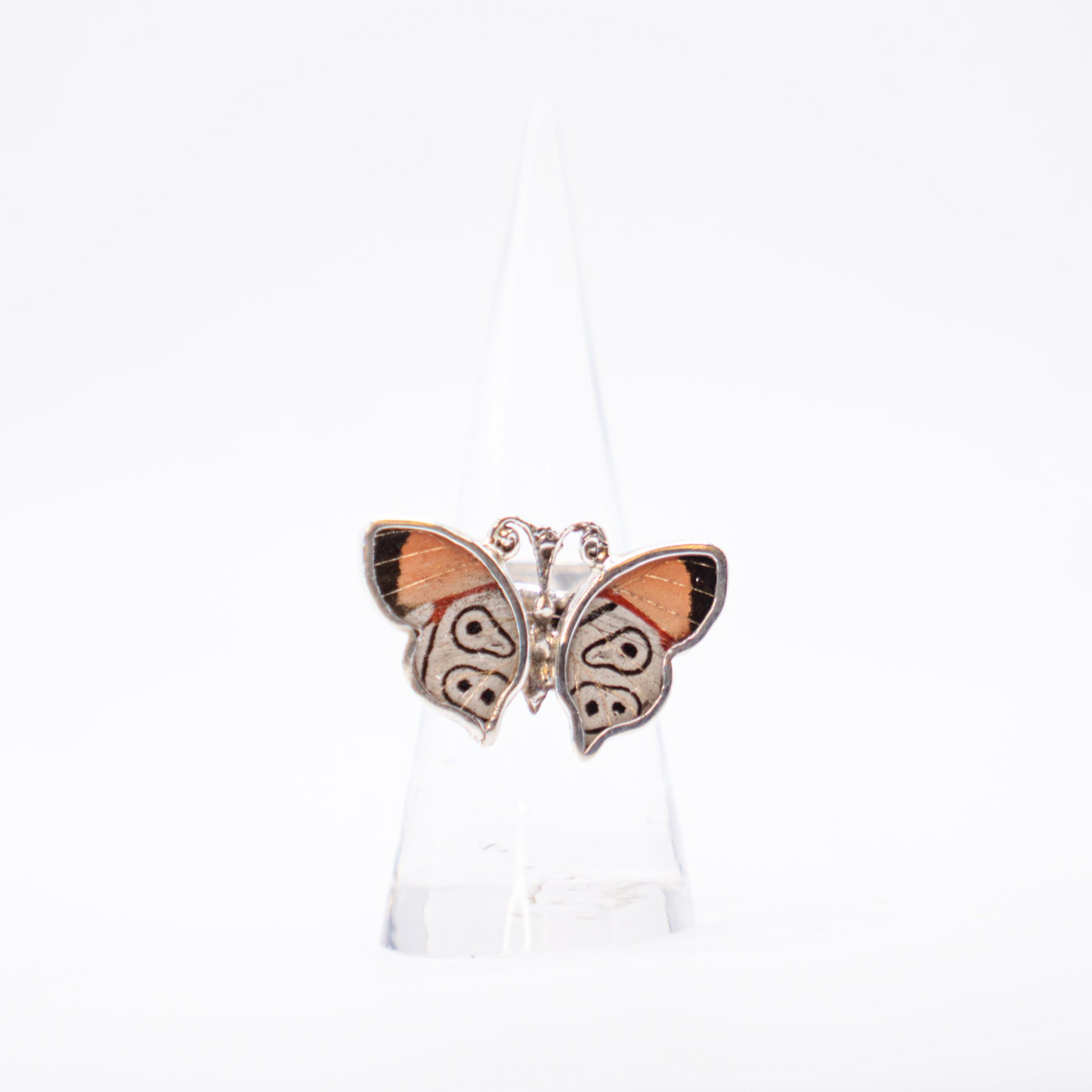 Real Butterfly Wings Ring