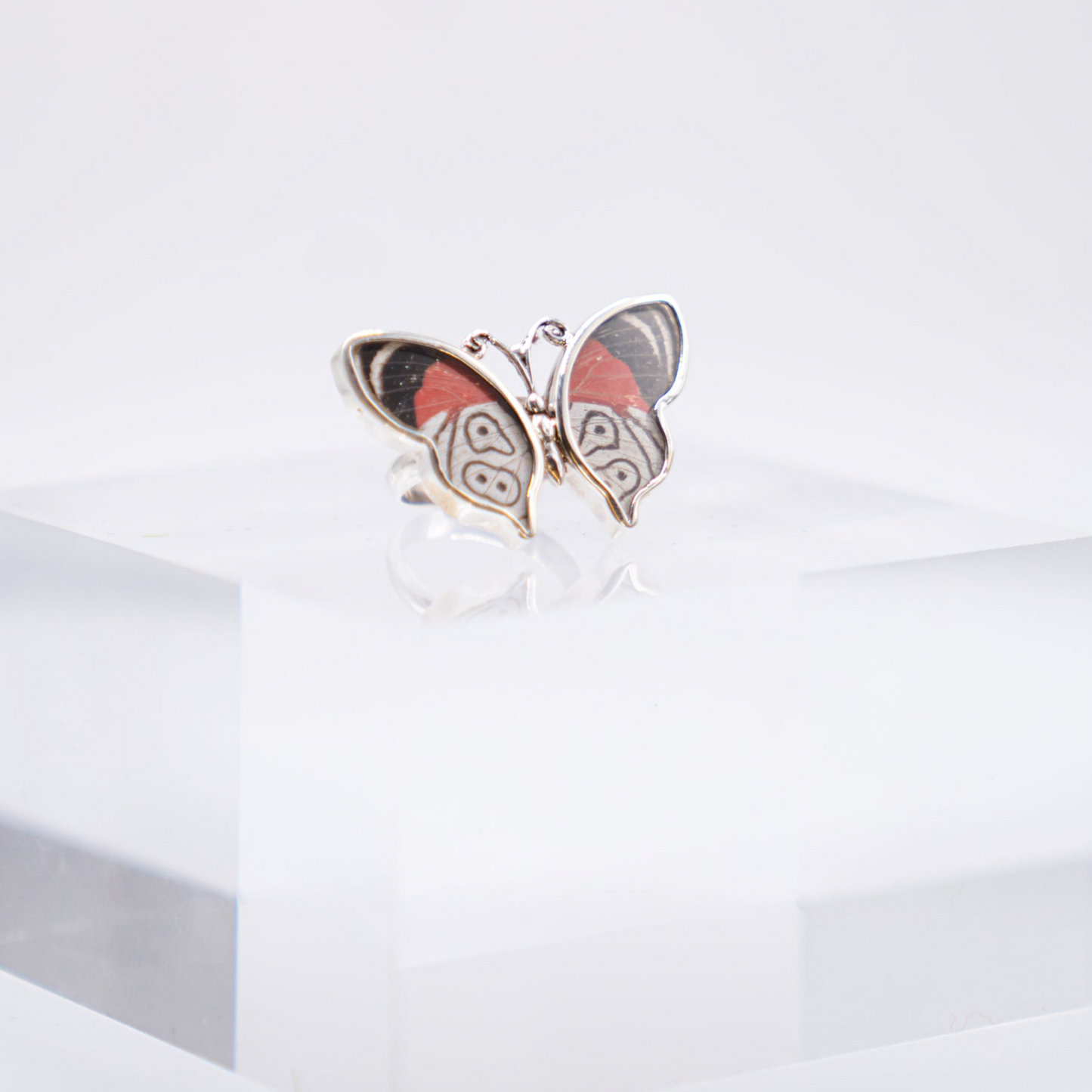 Real Butterfly Wings Ring