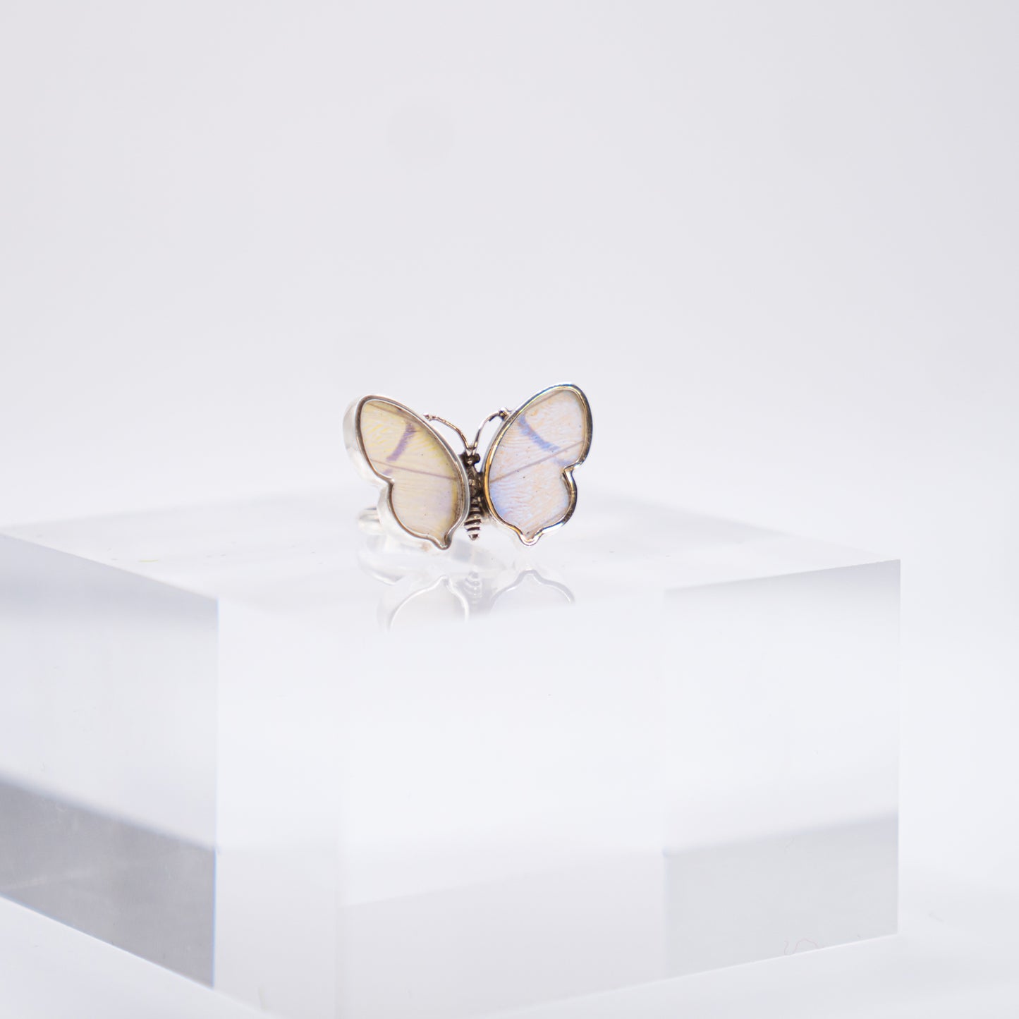 Real Butterfly Wings Ring