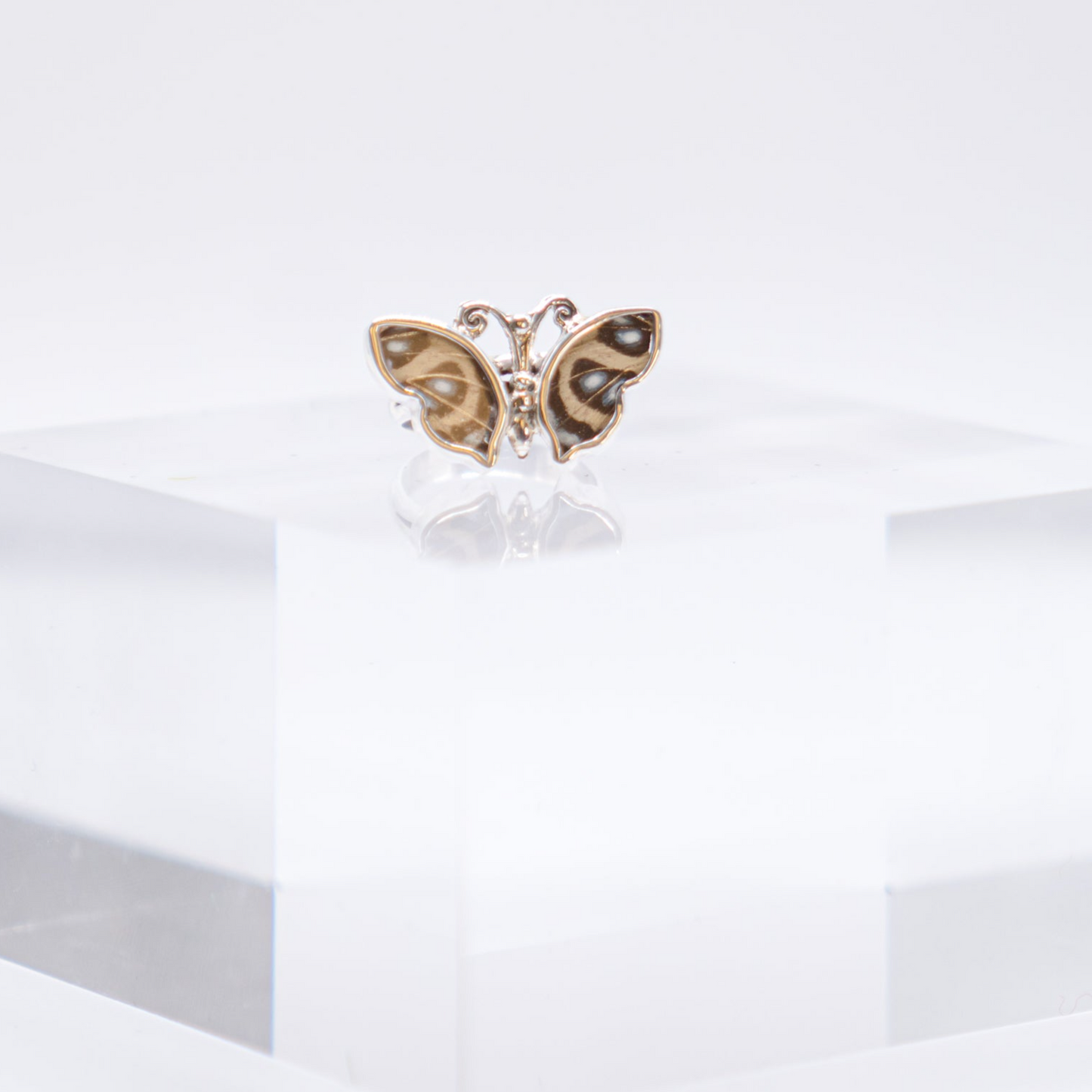 Real Butterfly Wings Ring