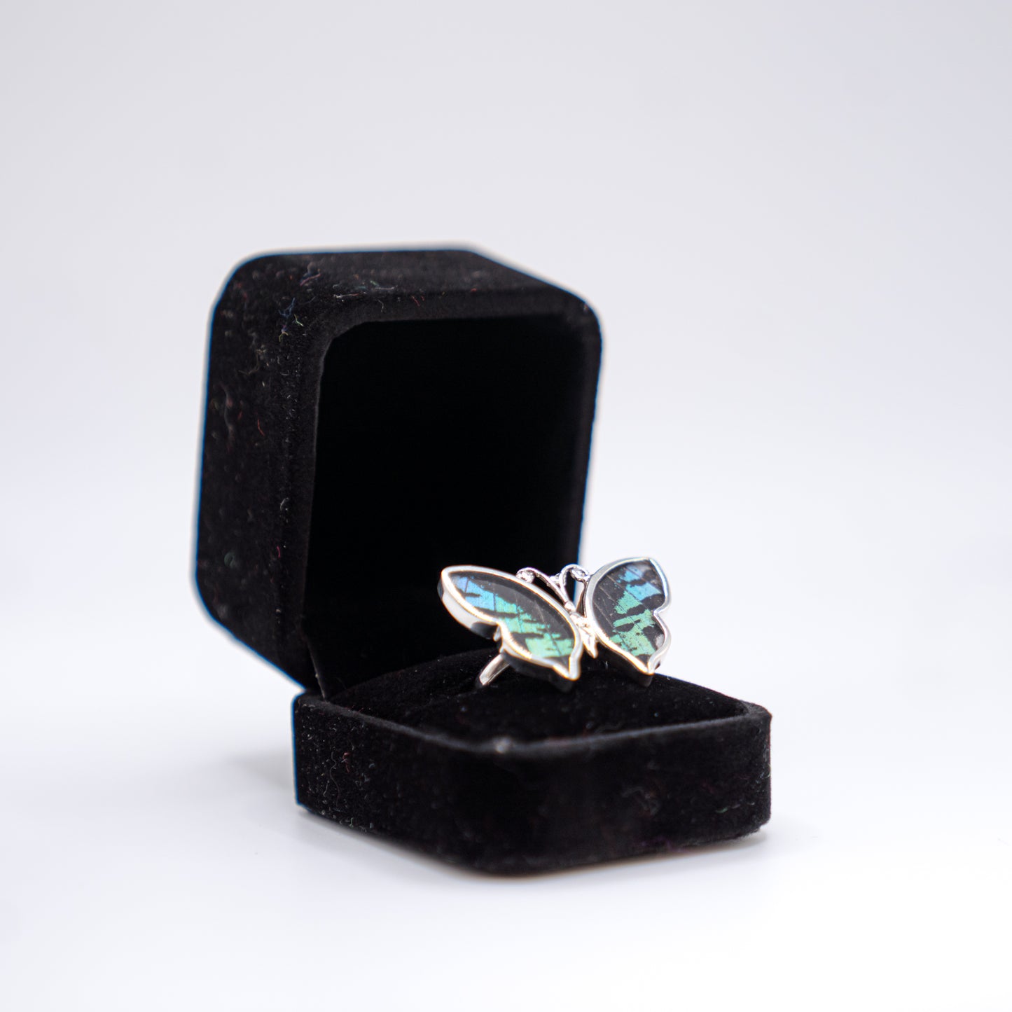 Real Butterfly Wings Ring