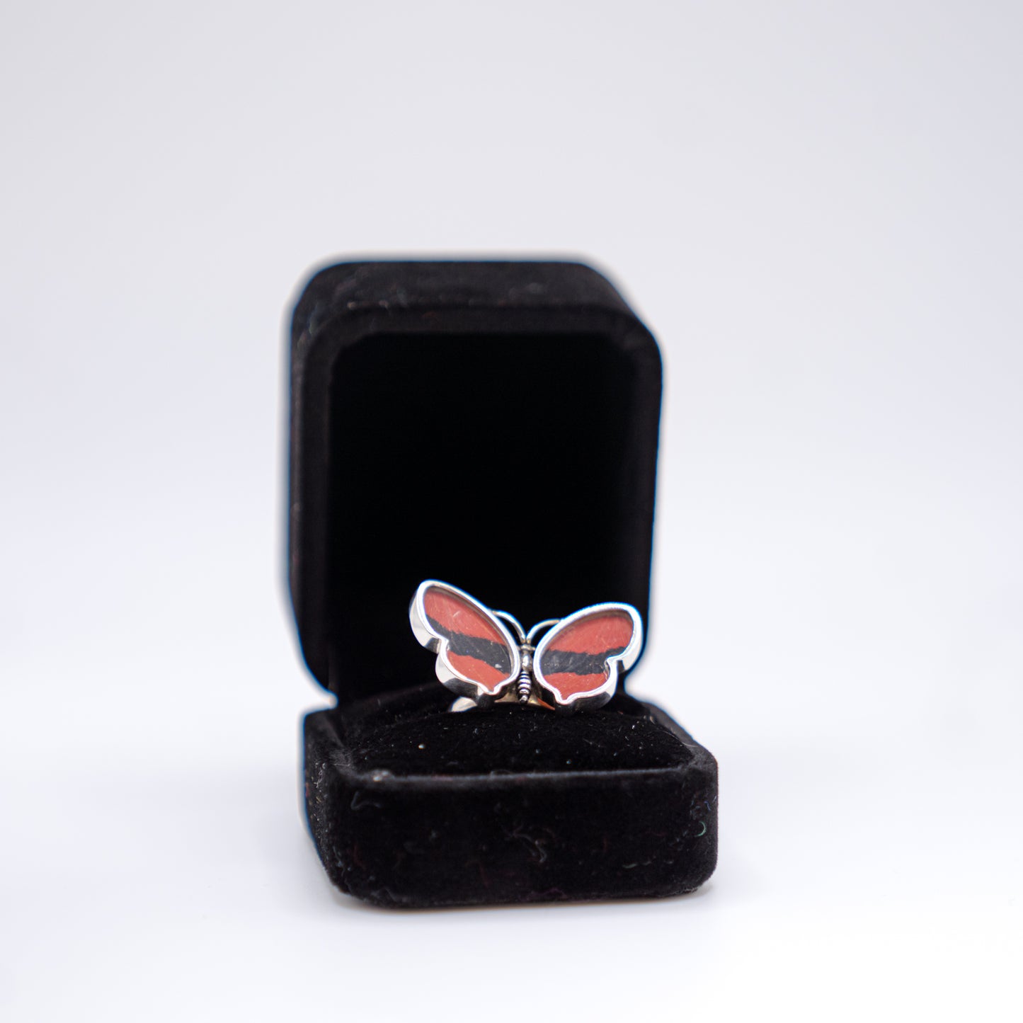 Real Butterfly Wings Ring