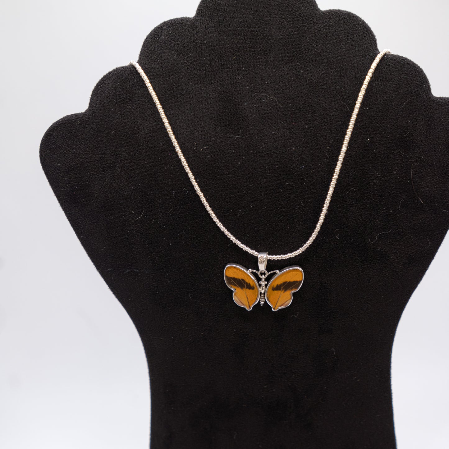 Pendant - Real Butterfly Wings