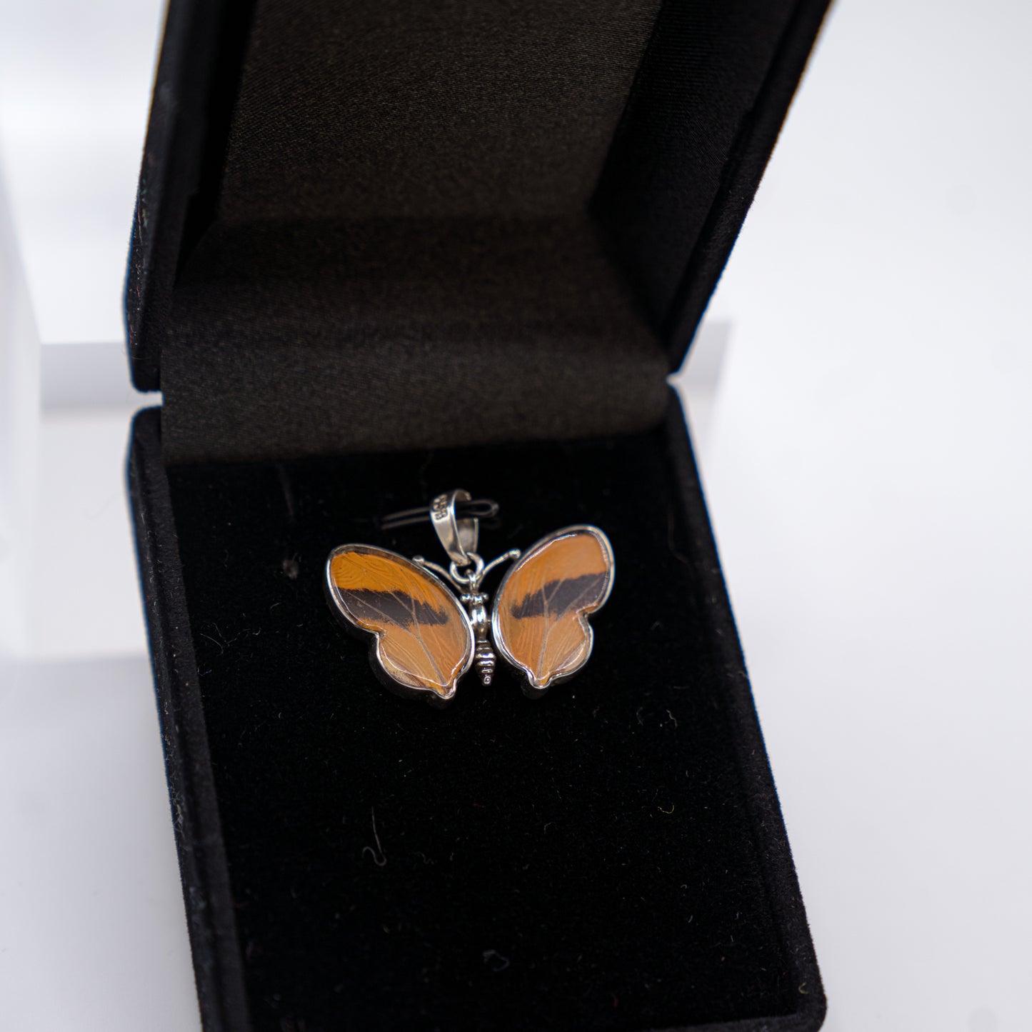 Pendant - Real Butterfly Wings