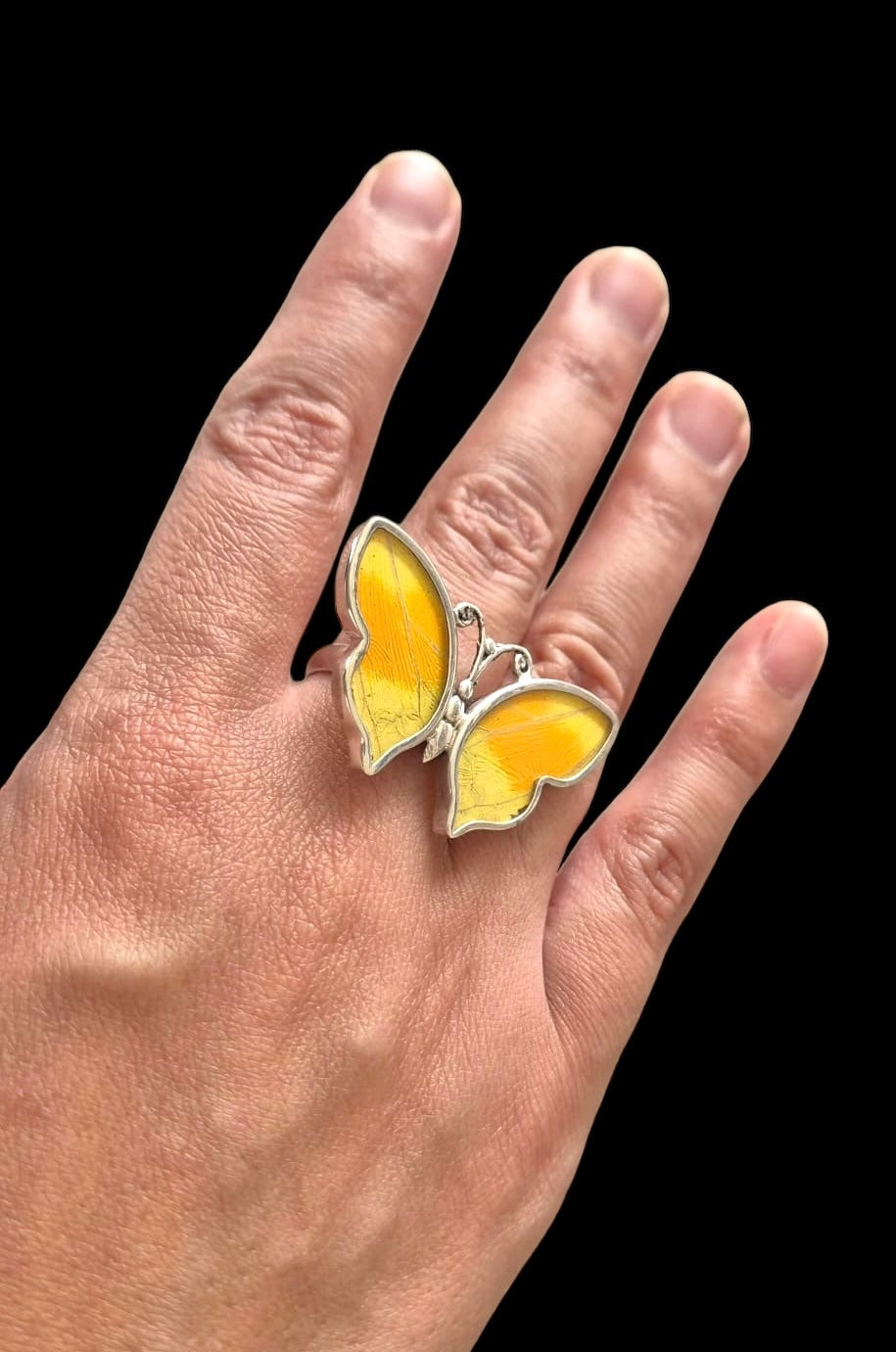 Real Butterfly Wings Ring