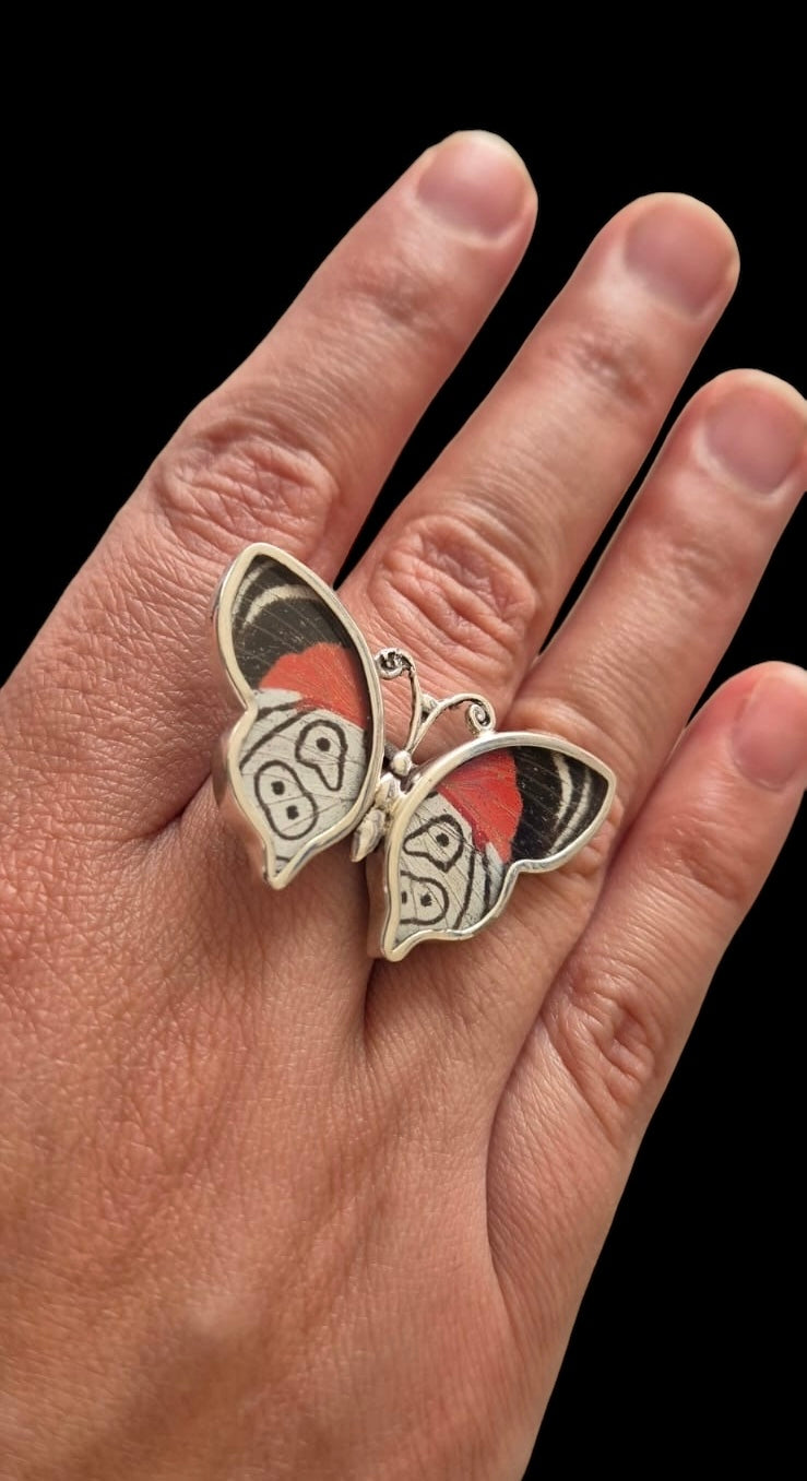 Real Butterfly Wings Ring