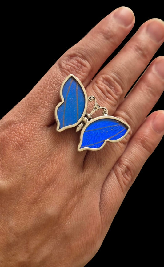 Real Butterfly Wings Ring