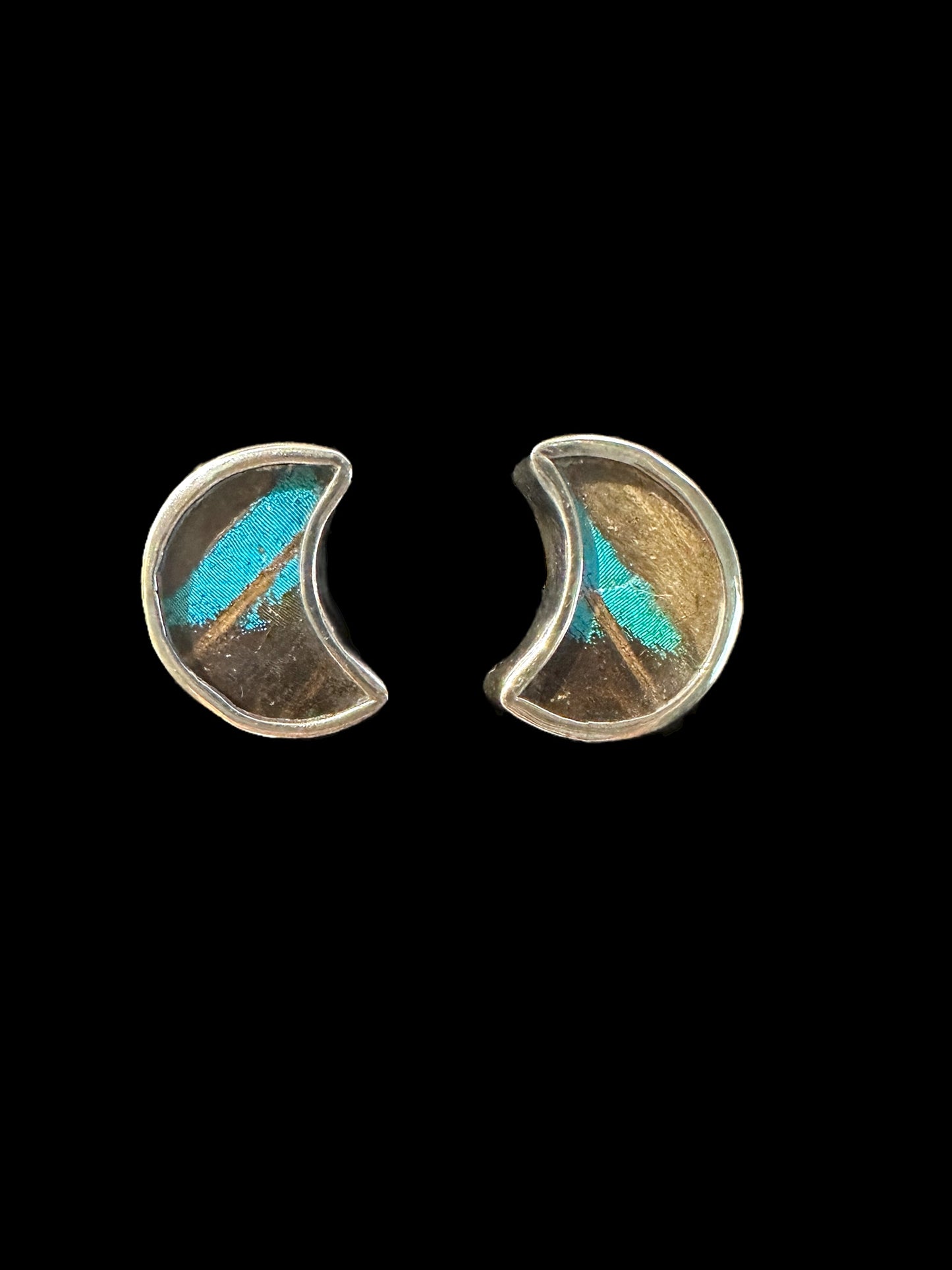 Stud Earrings - Real Butterfly Wings