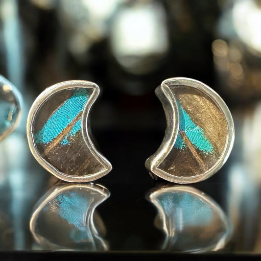 Stud Earrings - Real Butterfly Wings