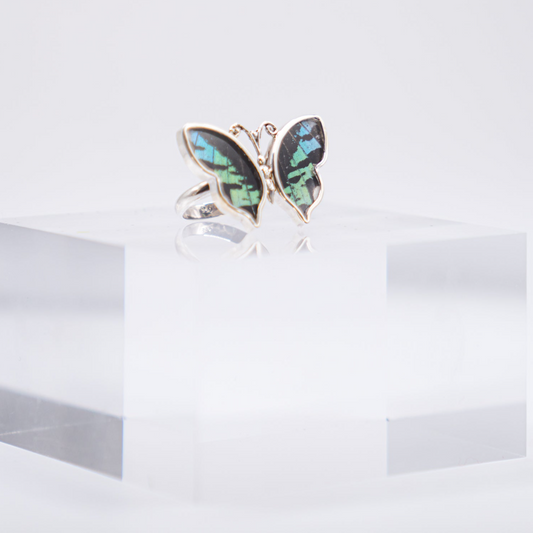 Real Butterfly Wings Ring