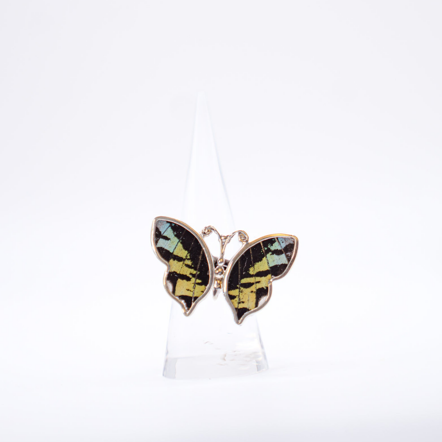 Real Butterfly Wings Ring