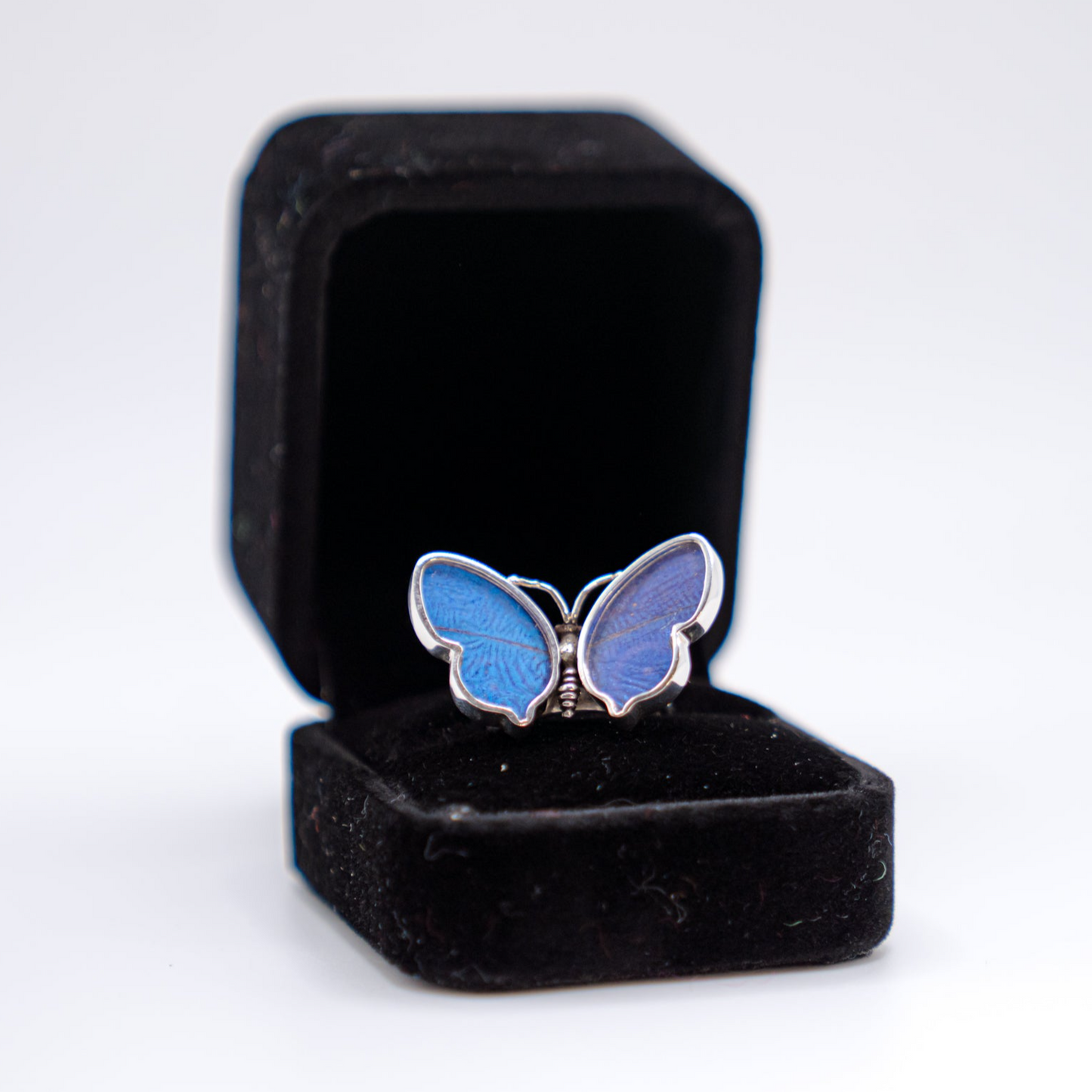 Real Butterfly Wings Ring