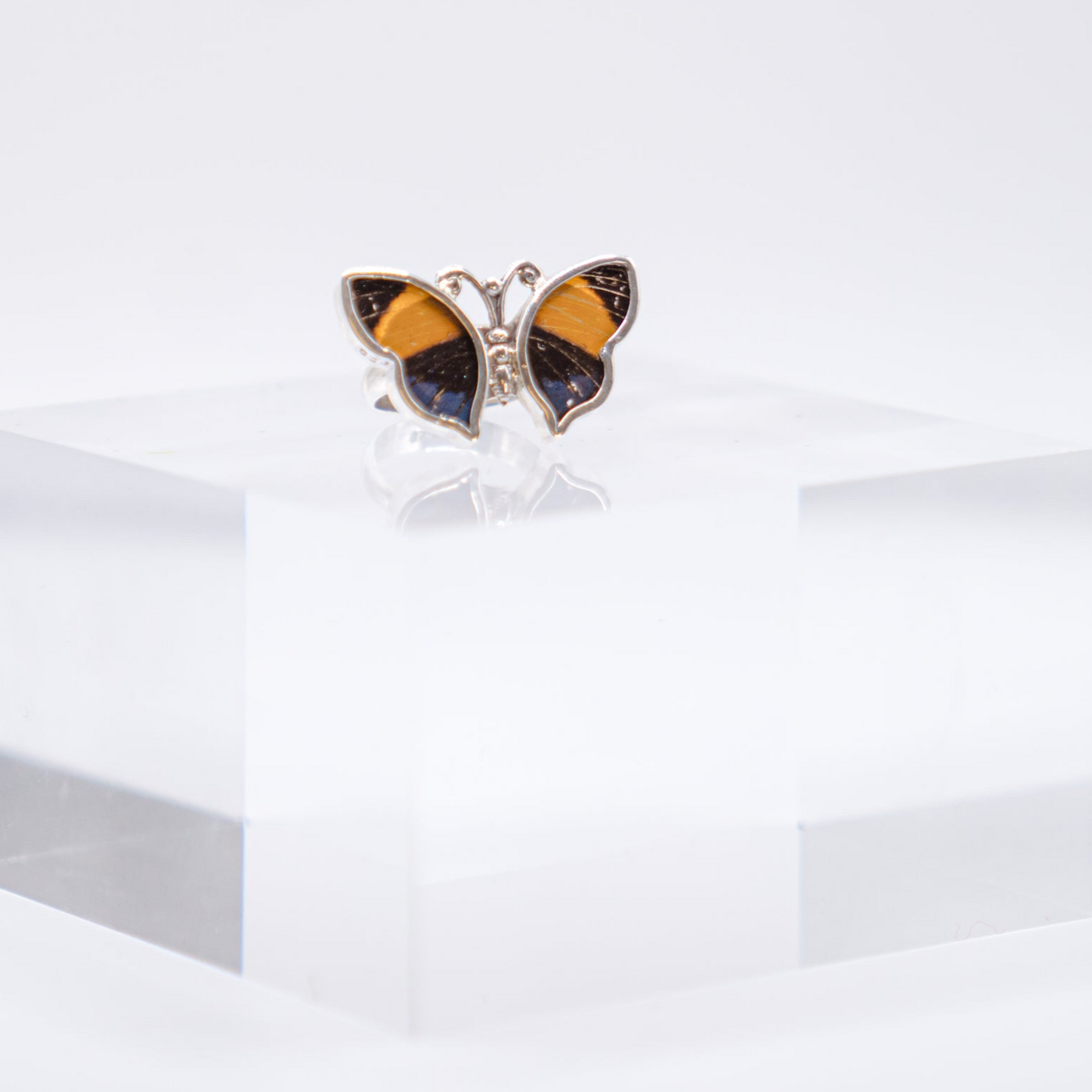 Real Butterfly Wings Ring