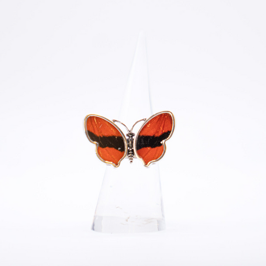 Real Butterfly Wings Ring